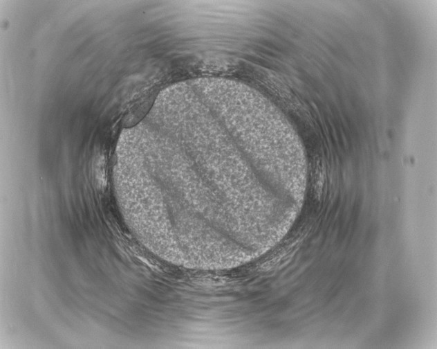 X0000087670962200705251615