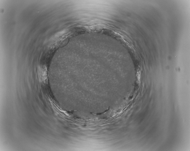 X0000087670963200705251615