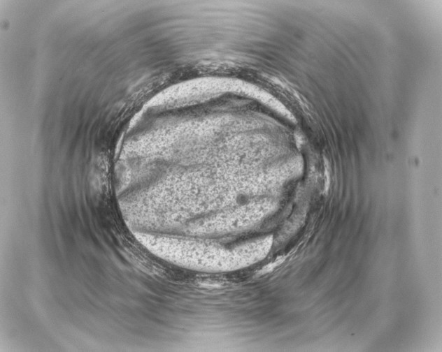 X0000087670964200705251615