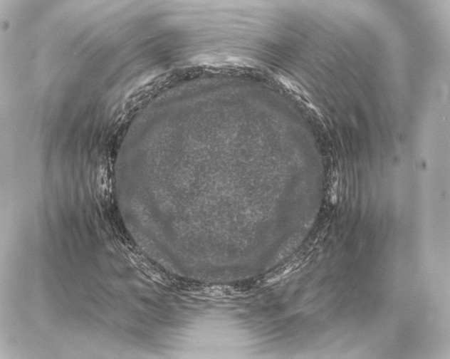 X0000087670966200705251615