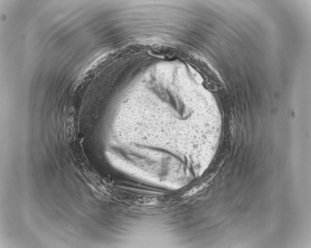 X0000087670968200705251615