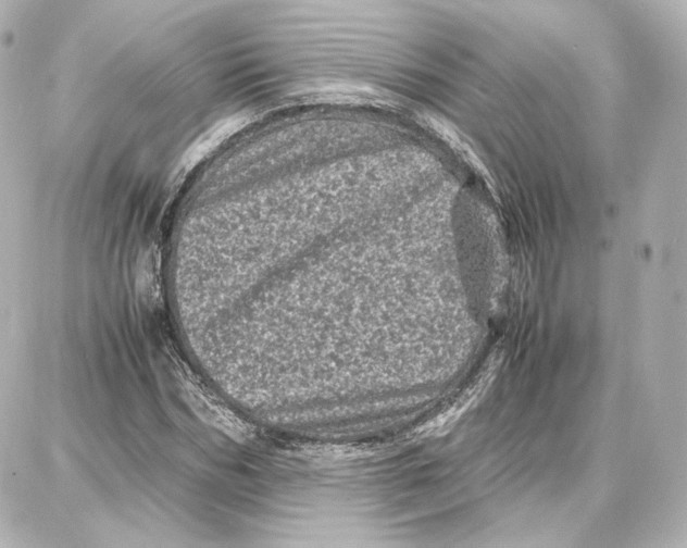 X0000087670970200705251615