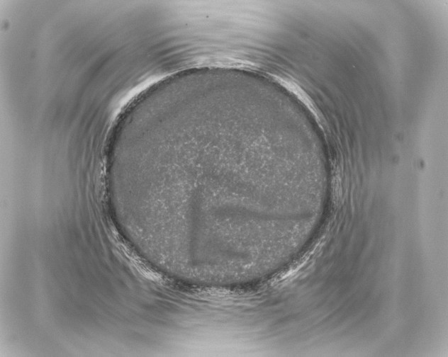 X0000087670971200705251615