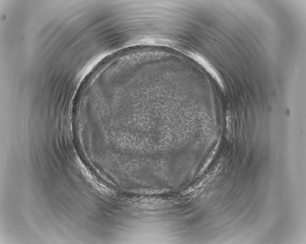 X0000087670972200705251615