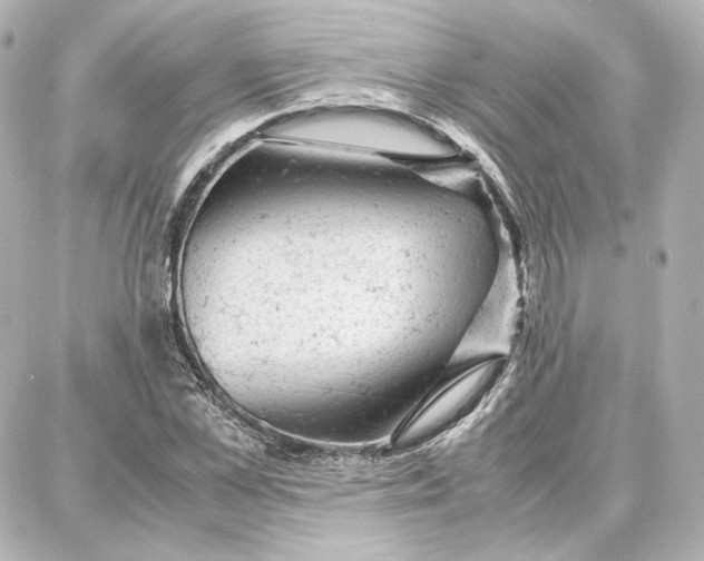 X0000087670973200705251615