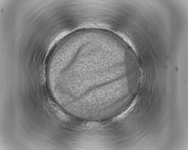 X0000087670974200705251614