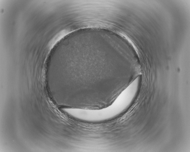 X0000087670975200705251614