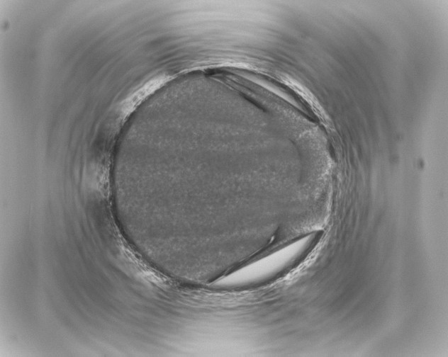 X0000087670977200705251614