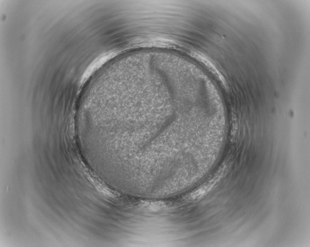 X0000087670978200705251614