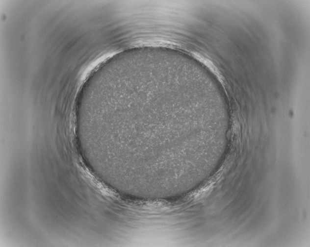 X0000087670979200705251614