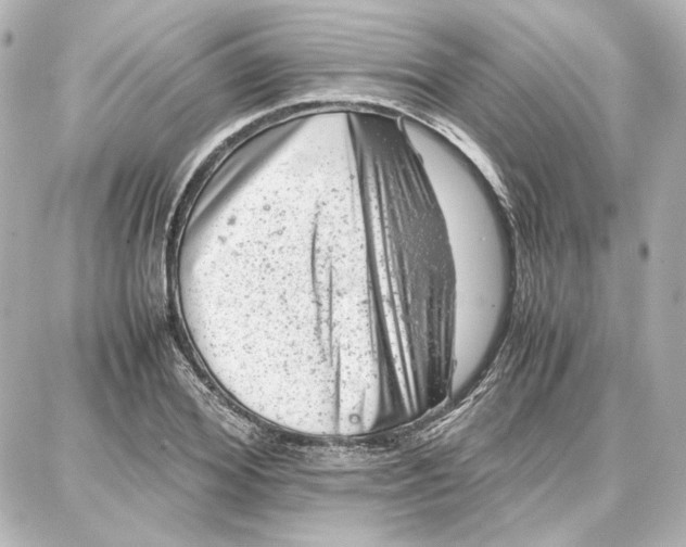 X0000087670980200705251614