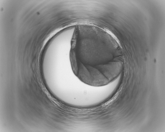 X0000087670981200705251614