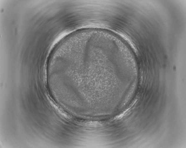 X0000087670982200705251614