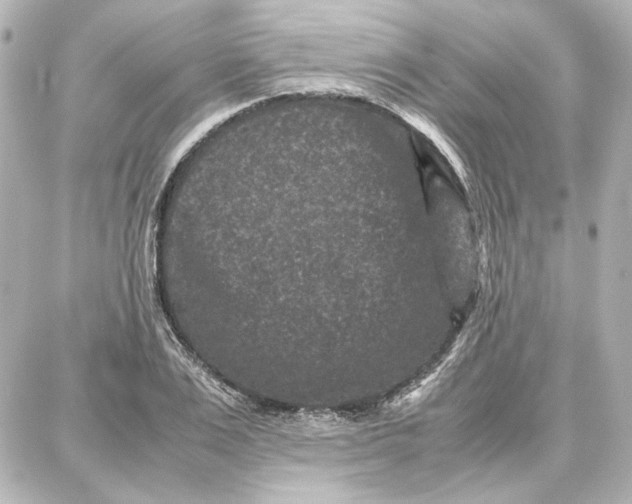 X0000087670983200705251614