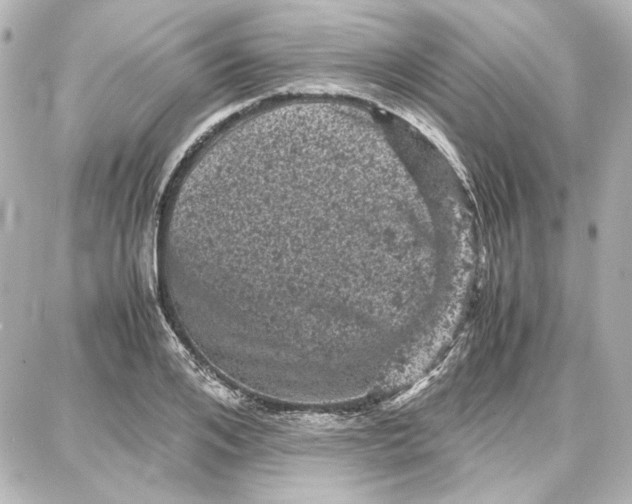 X0000087670984200705251614