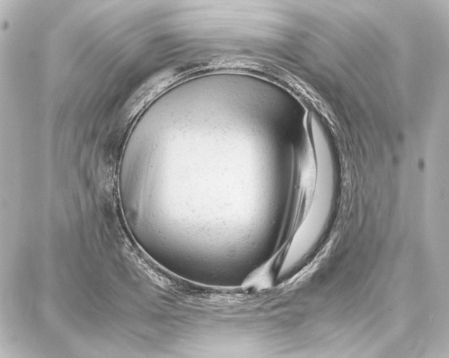 X0000087670985200705251614