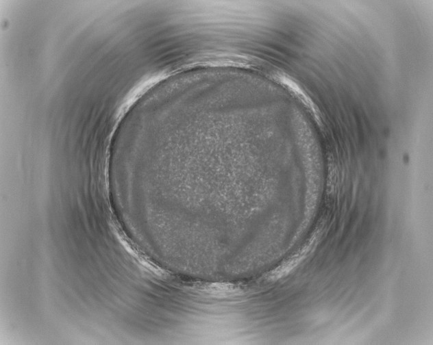 X0000087670986200705251614