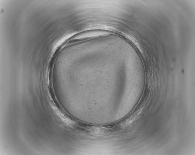 X0000087670987200705251614