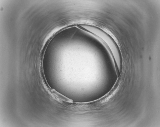 X0000087670989200705251614