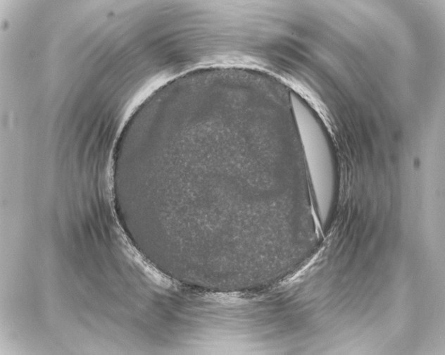 X0000087670990200705251614