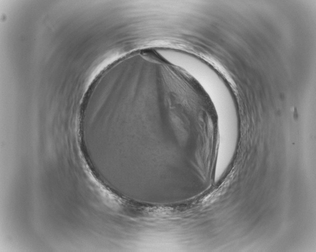 X0000087670991200705251614