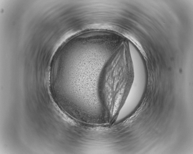 X0000087670992200705251614