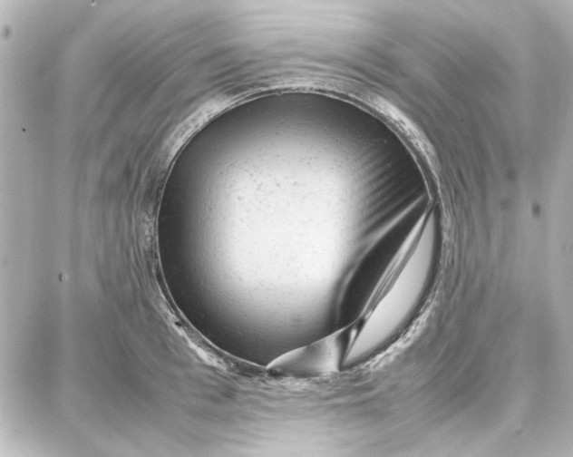 X0000087670993200705251614