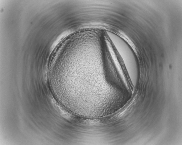 X0000087670994200705251614