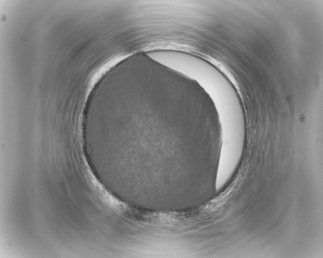 X0000087670995200705251614