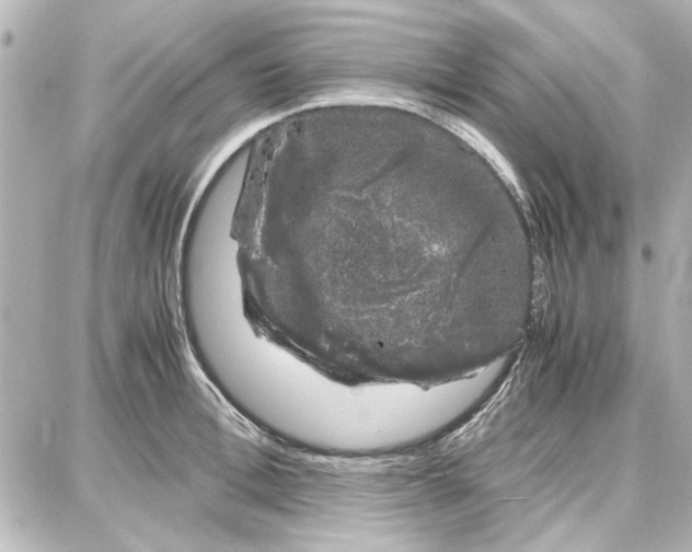 X0000087670996200705251614