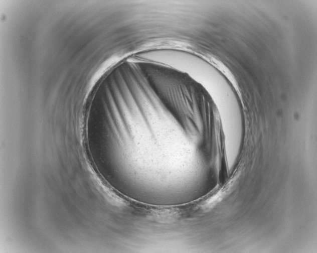 X0000087670997200705251614