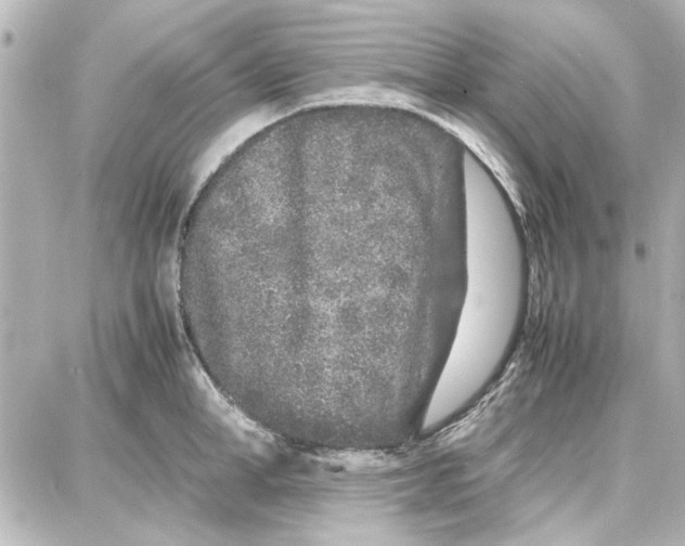 X0000087670998200705251614