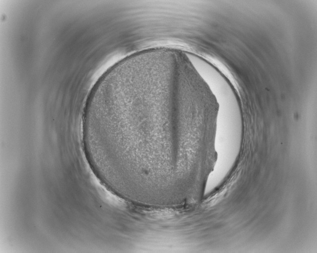 X0000087670999200705251614