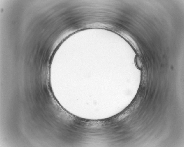 X0000087671000200705251614