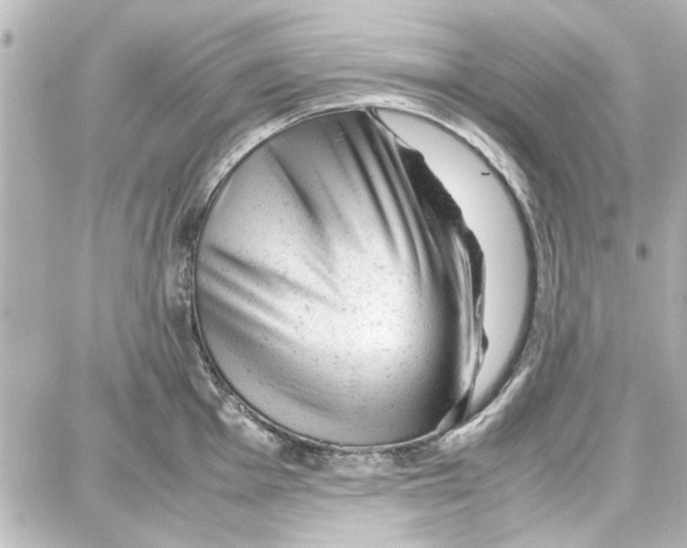 X0000087671001200705251614