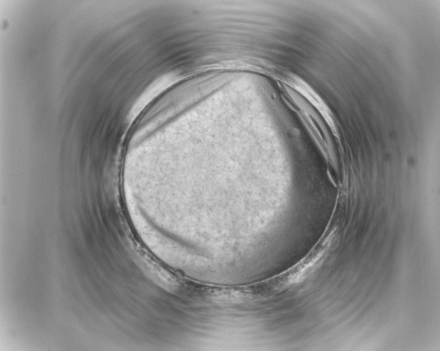 X0000087671002200705251614