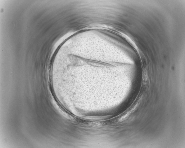 X0000087671003200705251614