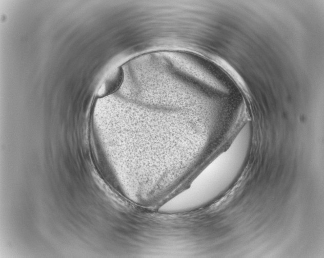 X0000087671004200705251614