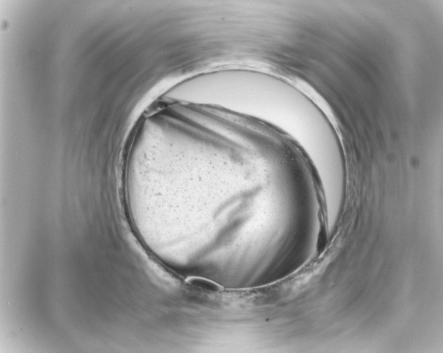 X0000087671005200705251614