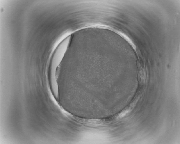 X0000087671007200705251614