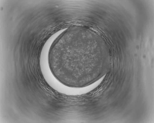 X0000087671010200705251613