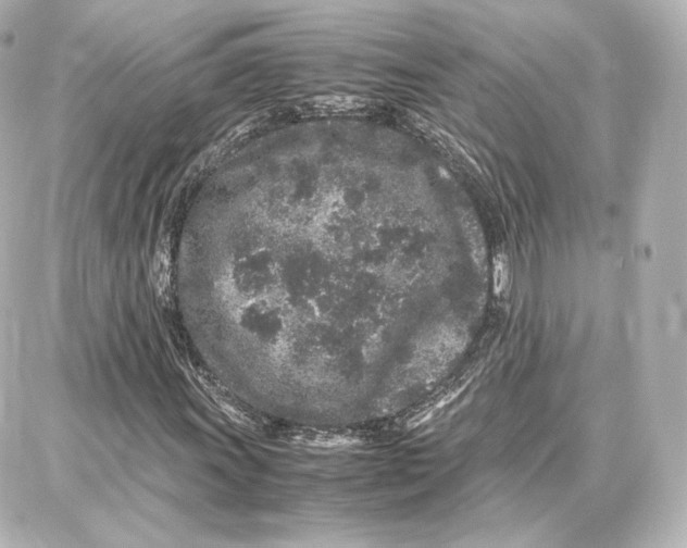 X0000087671011200705251613