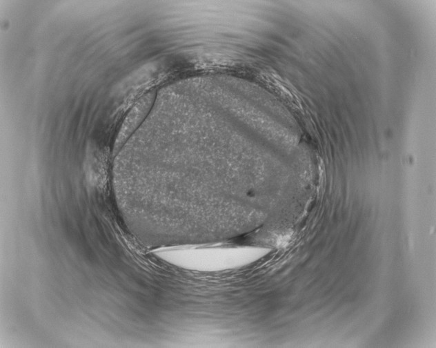 X0000087671012200705251613