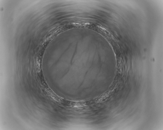 X0000087671013200705251613