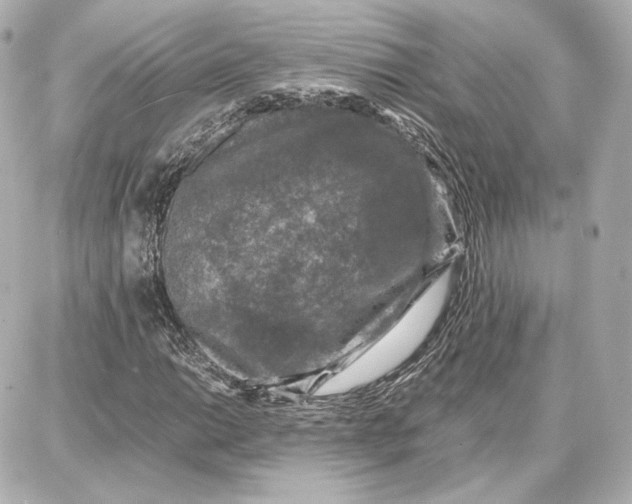 X0000087671014200705251613