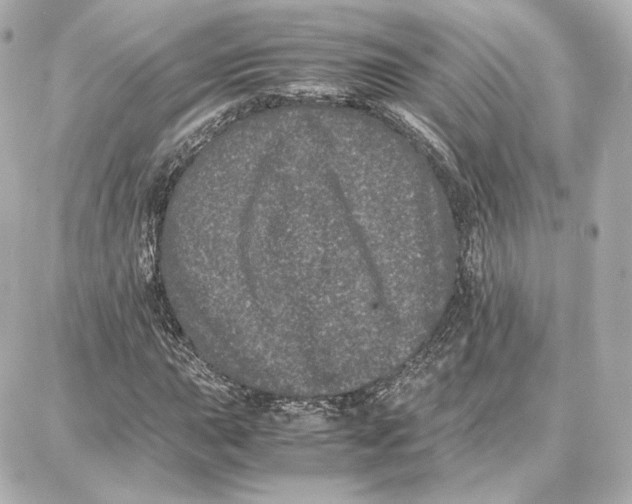 X0000087671015200705251613