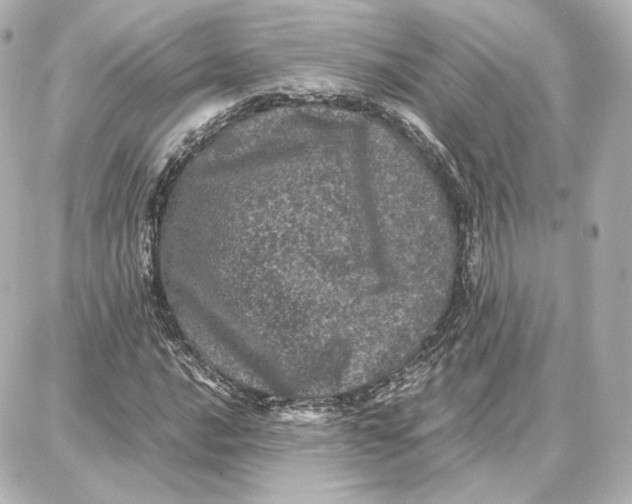 X0000087671016200705251613