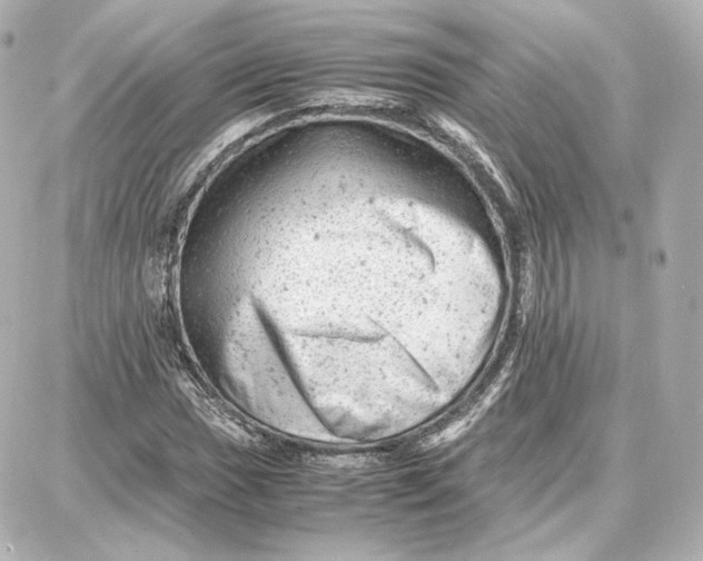 X0000087671017200705251613