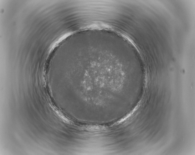 X0000087671018200705251613