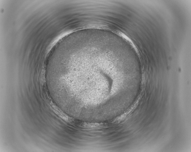 X0000087671019200705251613